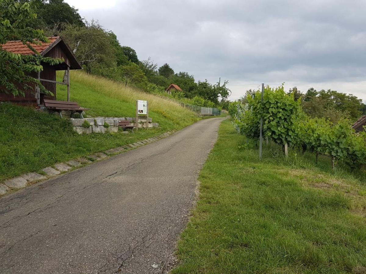 Ferienwohnung Burgblick Im Neuffener Tal Mit Sauna Und Wallbox Frickenhausen  Экстерьер фото