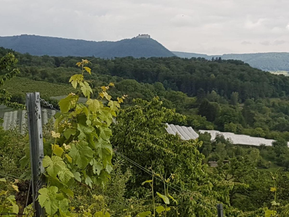 Ferienwohnung Burgblick Im Neuffener Tal Mit Sauna Und Wallbox Frickenhausen  Экстерьер фото